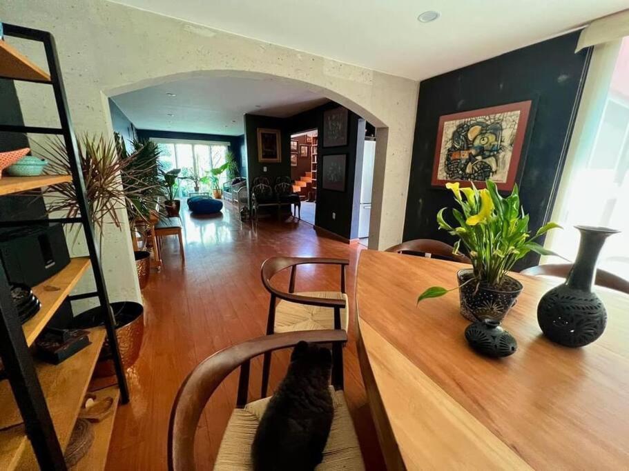 Luxurious Mid Century Modern Folk Art Home Mexico City Exteriör bild