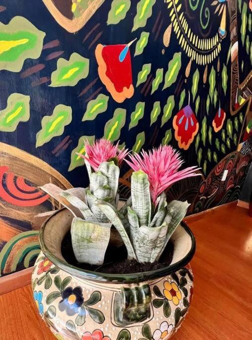 Luxurious Mid Century Modern Folk Art Home Mexico City Exteriör bild